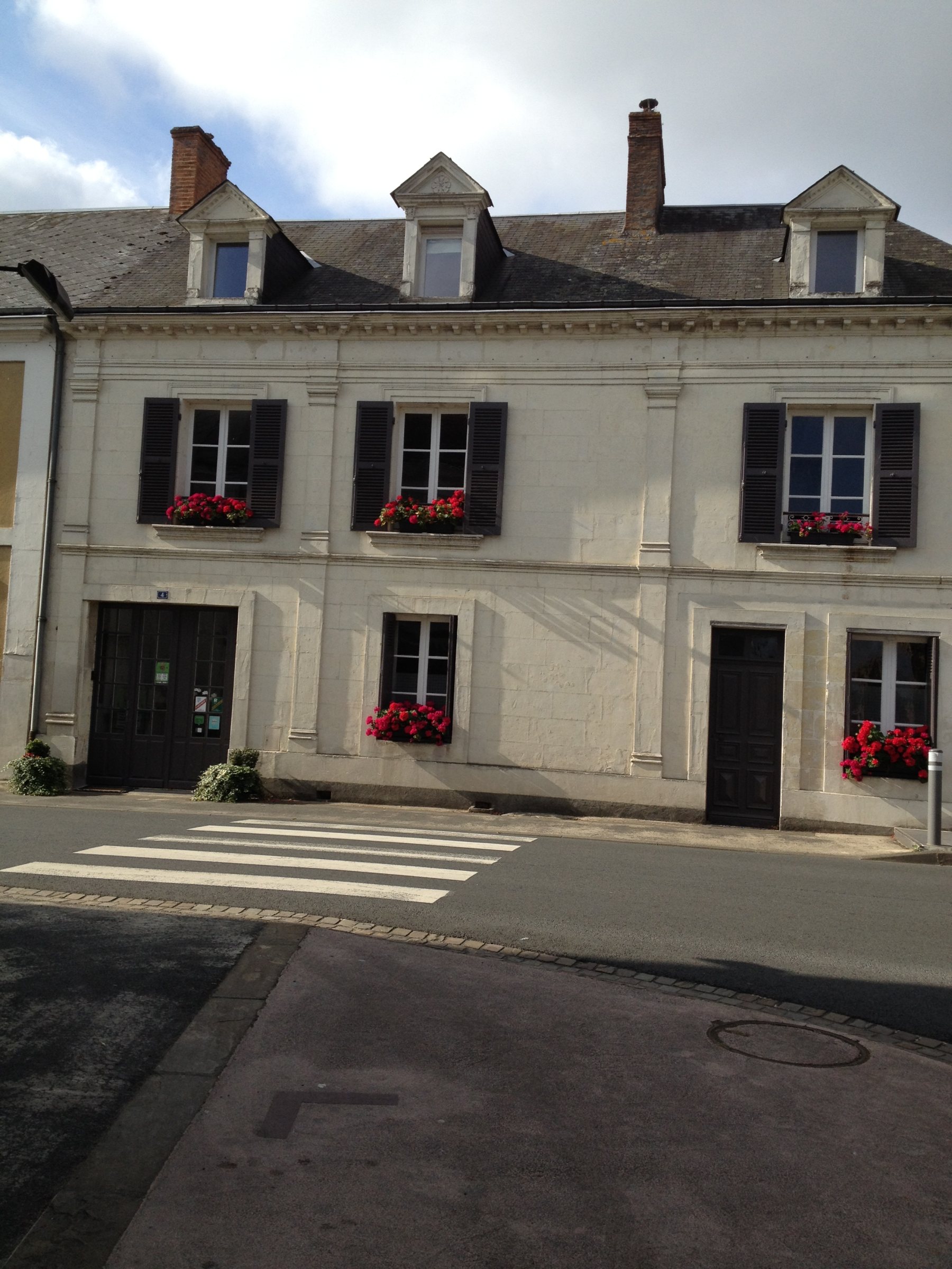 Le Chaton Rouge