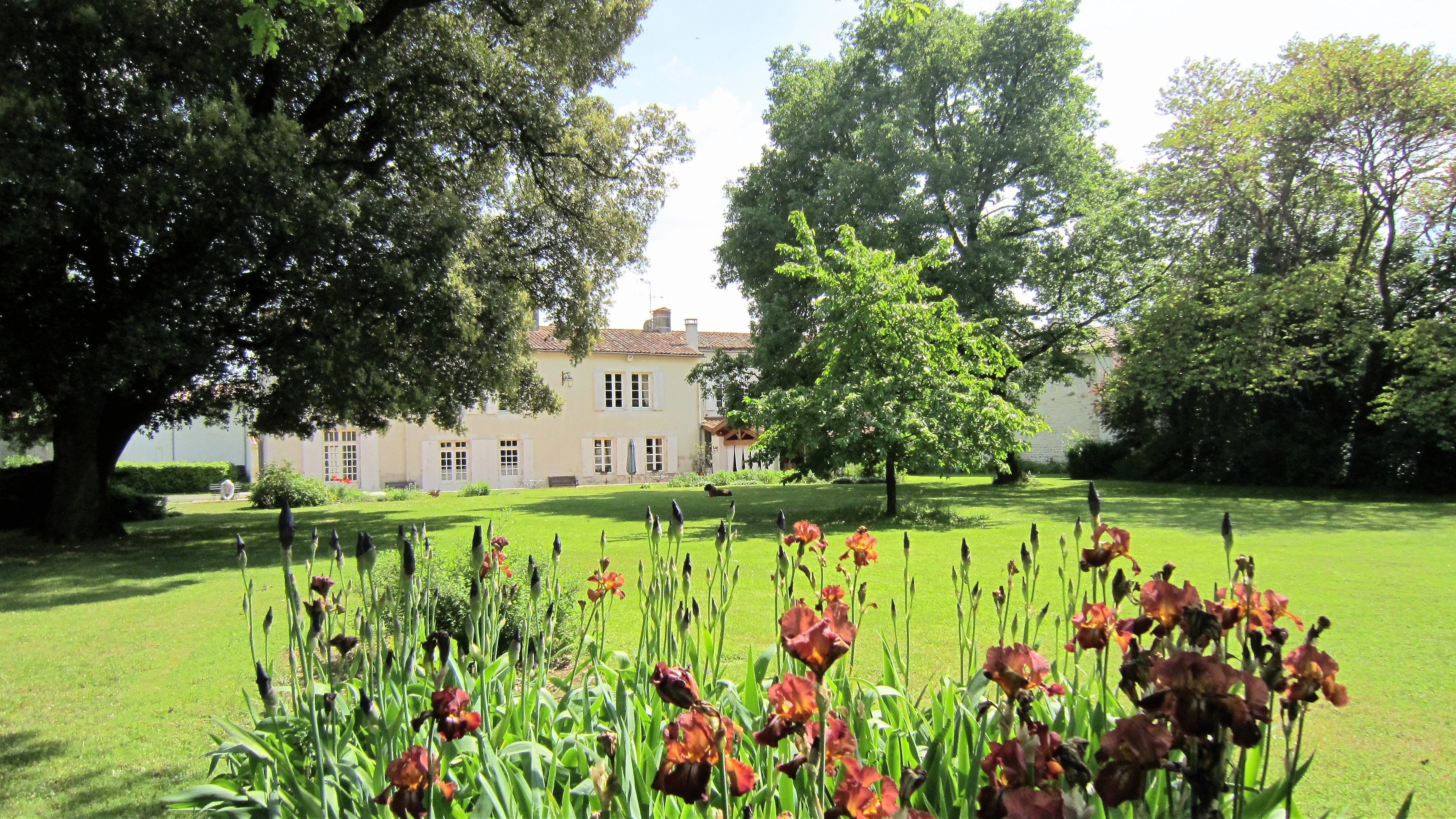 House view from the parkland