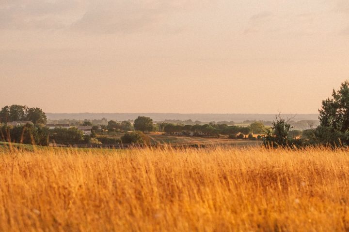 Le Beau Pierre