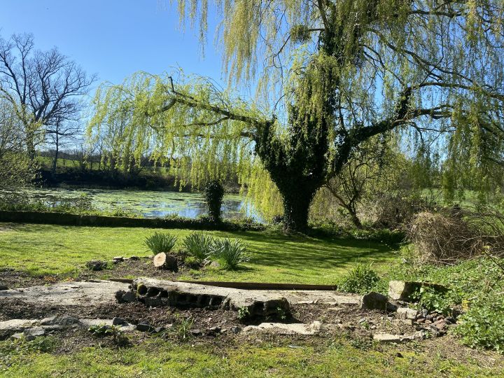 Private Garden with Lake View