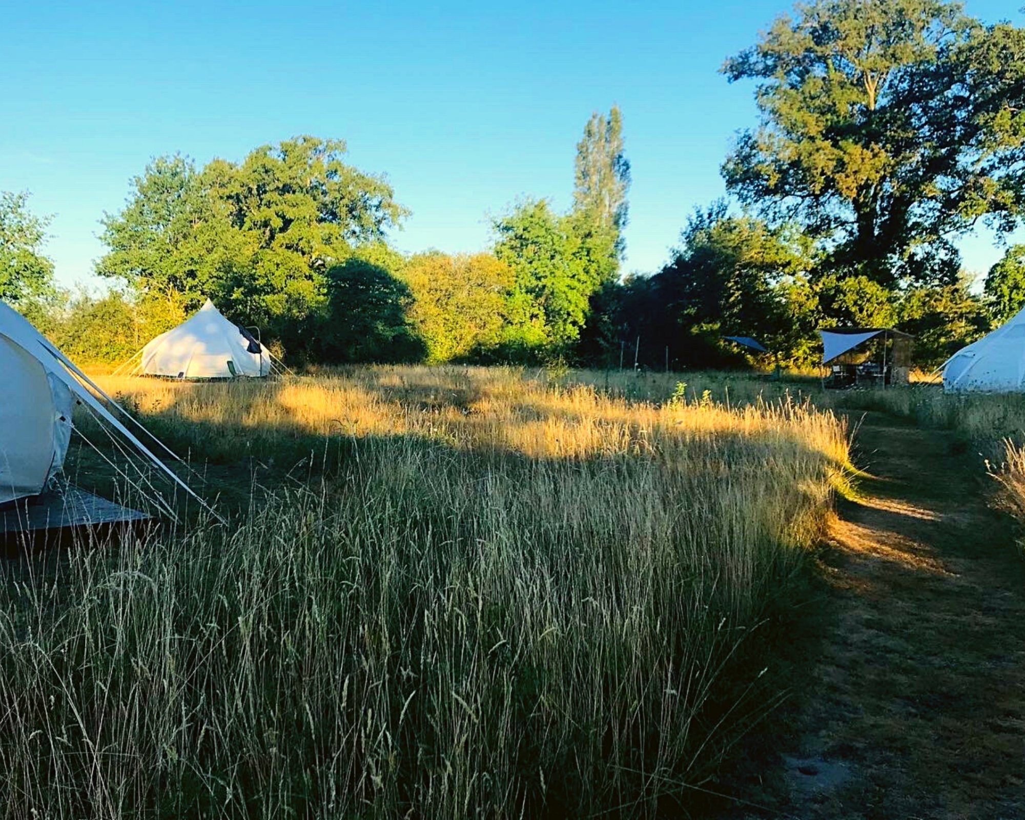 Three tents on the meadow